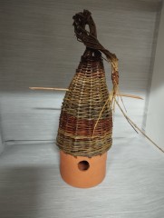 IMG20250413115619